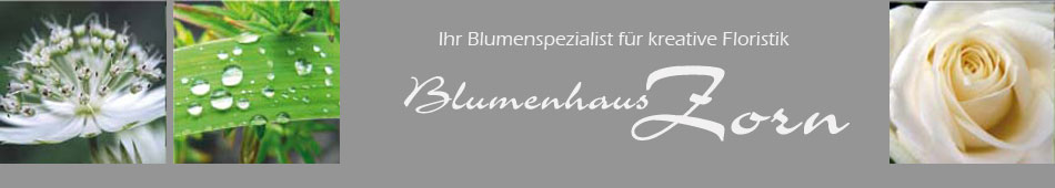 Blumenhaus Zorn